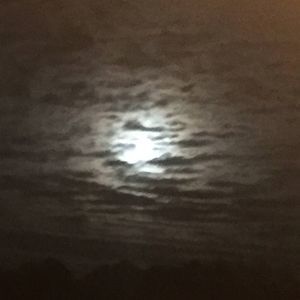 Meet your Posher, Rochelle